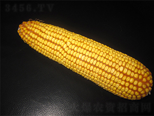 �r(n��ng)��10-���׷N��-�r(n��ng)��N�I(y��)