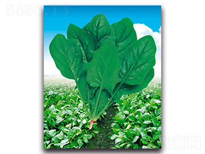 ���S-���˷N��-����˹