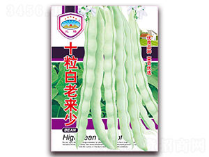 十粒白老來少-豆角種子-天和種業(yè)