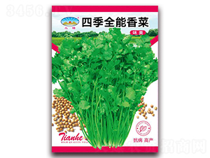 四季全能香菜-香菜種子-天和種業(yè)