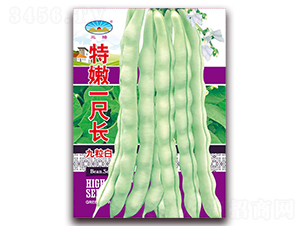 特嫩一尺長-豆角種子-天和種業(yè)