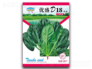 優(yōu)盛D18菠菜-菠菜角種子-天和種業(yè)