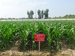 ����(l��i)188-���׷N��-����(l��i)�N�I(y��)