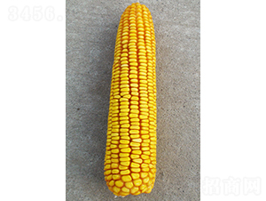 ���202-���׷N��-���N�I(y��)