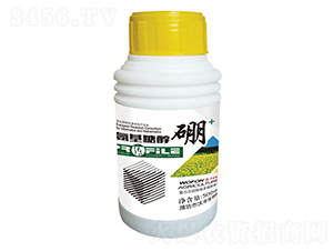 �����Ǵ���-���S����