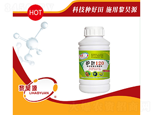 ���o(h��)��΢�������-�o(h��)�~120-���Դ