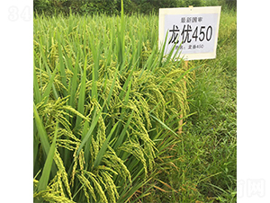 ����(y��u)450-ˮ���N��-�����r(n��ng)�I(y��)