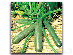 ̫�(y��ng)-�ϹϷN��-���r(n��ng)�N��