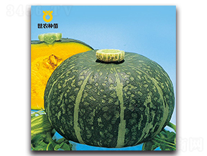 ����-�ϹϷN��-���r(n��ng)�N��