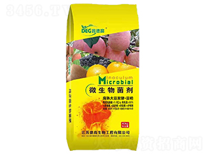 ����󶹰l(f��)�͡�����-�ε¸�-�¸�����