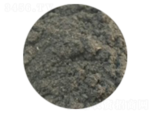 ��(zhu��n)���ЙC(j��)��-�ɺ�