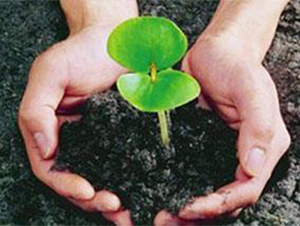 �Ϲ��ЙC��-�ɺ�