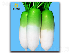 ���r(n��ng)816-�}���N��-���r(n��ng)�N��