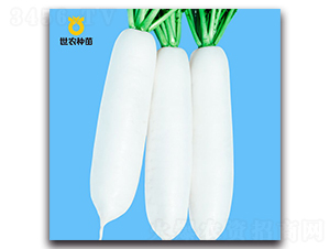 ѩ�`-�}���N��-���r(n��ng)�N��