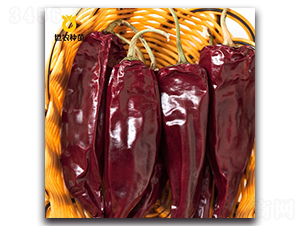 SN�t��-�����N��-���r(n��ng)�N��