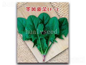 ī�L(f��ng)����F1-���˷N��-�A�G