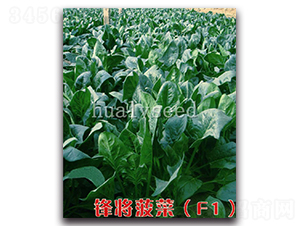 �h������F1-���˷N��-�A�G