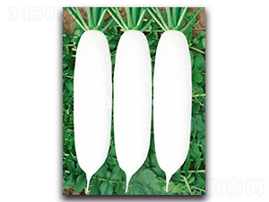 �������-�}���N��-�A�G