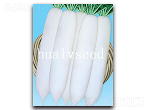 �����}��8̖-�}���N��-�A�G