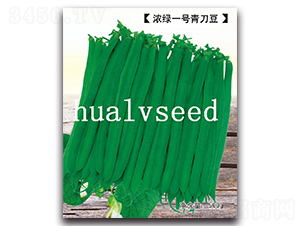 ��Gһ̖�൶��-�൶���N��-�A�G