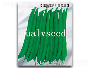 ��G�������൶��-�൶���N��-�A�G