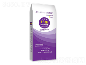 12�����������ЙC(j��)��-��������