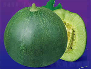 ���O��-��ϷN��-����N�I(y��)