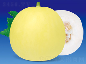 ������-��ϷN��-����N�I(y��)