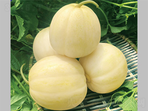 ����17-��ϷN��-����N�I(y��)