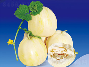 ����666-��ϷN��-����N�I(y��)