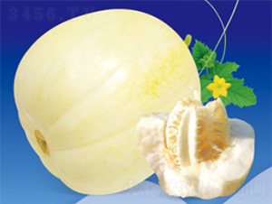 ������-��ϷN��-����N�I(y��)