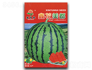 鑫花美都-西瓜種子-豫輝種業(yè)