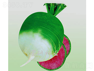 �����M�üt-�}���N��-���зN�I(y��)