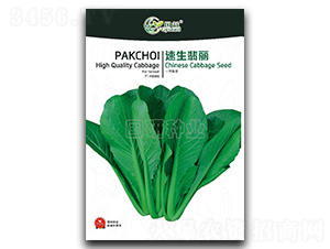 ��������-С�ײ˷N��-��(gu��)�зN�I(y��)