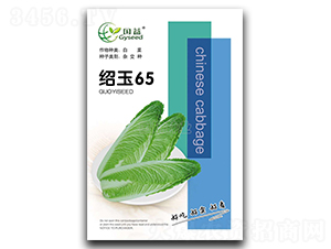 紹玉65-白菜種子-國研種業(yè)