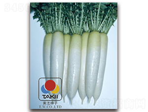 ��ѩ��̫-�}���N��-�S�{�N��