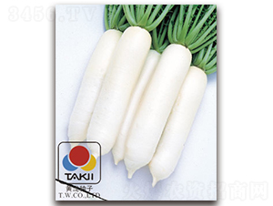 �מ{-�}���N��-�S�{�N��