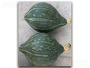 ����������-�ϹϷN��-�S�{�N��