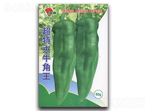 ���ش�ţ����-�����N��-�ʴ��r(n��ng)�I(y��)