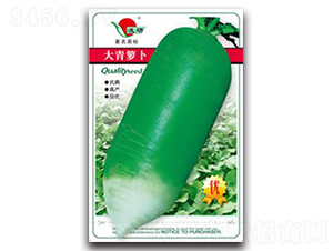 �����}��-�}���N��-�ʴ��r(n��ng)�I(y��)