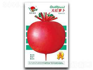 ��t�}��-�}���N��-�ʴ��r(n��ng)�I(y��)