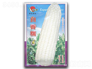 ����Ŵ-Ŵ���׷N��-�ʴ��r(n��ng)�I(y��)