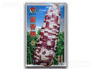 ����Ŵ-Ŵ���׷N��-�ʴ��r(n��ng)�I(y��)