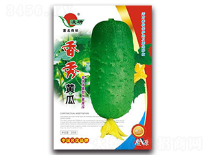 �����S��-�S�ϷN��-�ʴ��r�I(y��)