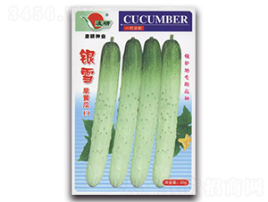 �yѩ-�S�ϷN��-�ʴ��r�I(y��)