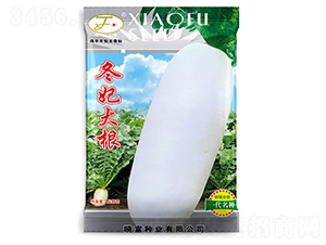 �������-�}���N��-�Ը��N��