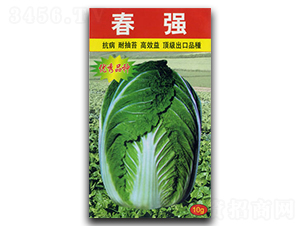 ����(qi��ng)-�ײ˷N��-�������