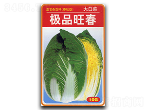 �OƷ����-�ײ˷N��-�������