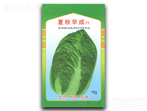 �������-�ײ˷N��-�������