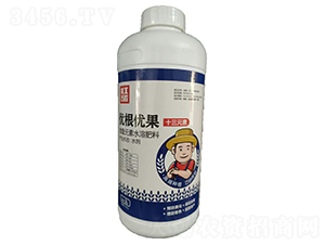 ʮ��Ԫ��-��(y��u)����(y��u)��-�ܹ��ɽ�-�����r(n��ng)�I(y��)